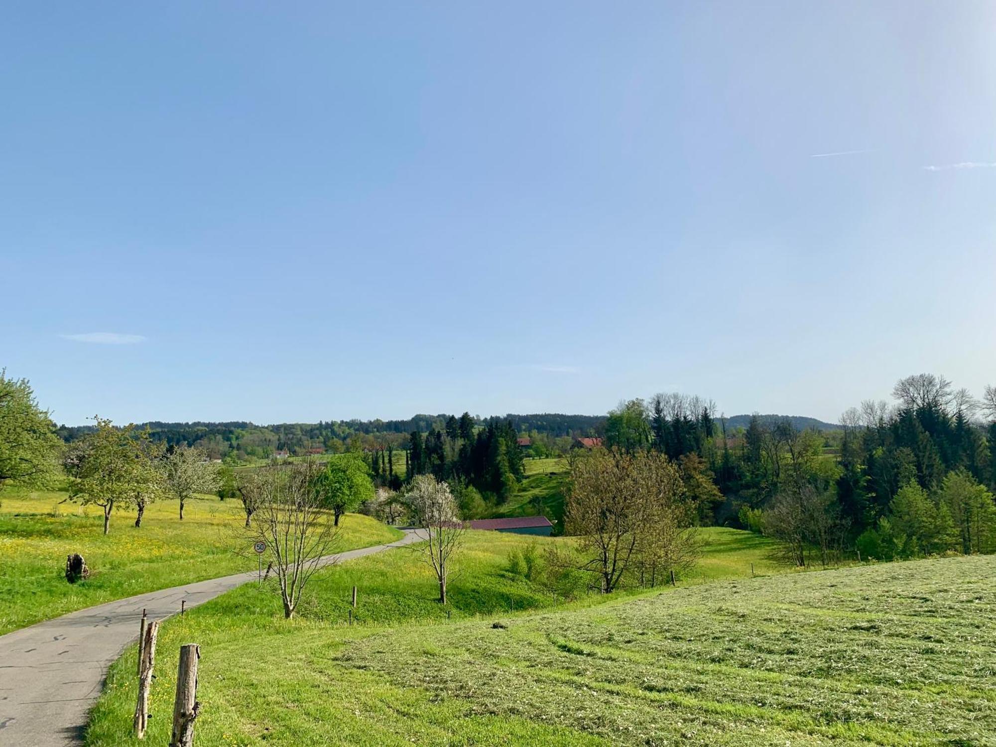 Lindners Hideaways - Bergnest Lodge - Bergblick Fewo 6 Pers Balkon Garten Hund Ski Unterkunft Luftkurort Oberreute Naehe Buchenegger Wasserfaelle Eistobel Bodensee Экстерьер фото