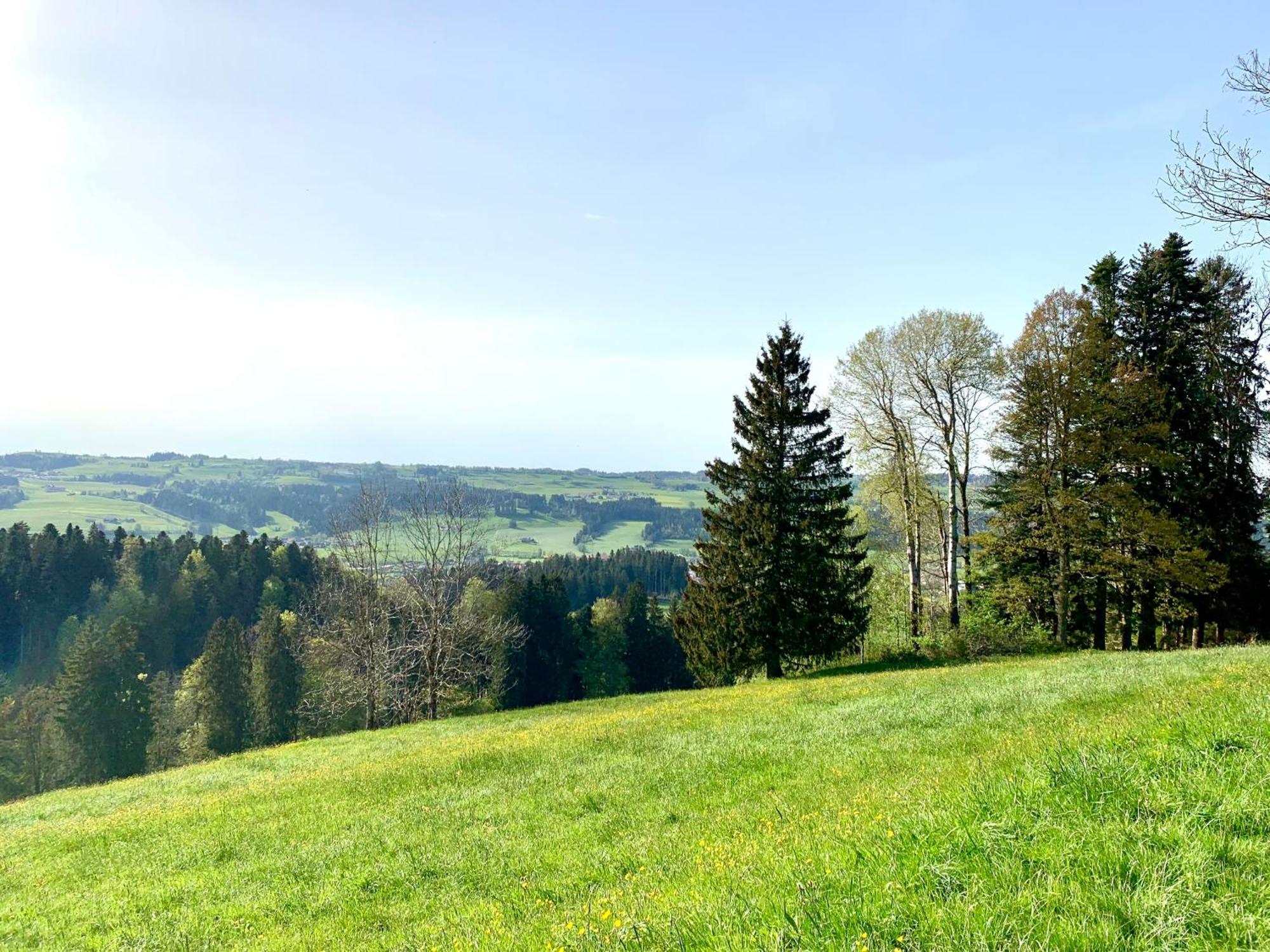 Lindners Hideaways - Bergnest Lodge - Bergblick Fewo 6 Pers Balkon Garten Hund Ski Unterkunft Luftkurort Oberreute Naehe Buchenegger Wasserfaelle Eistobel Bodensee Экстерьер фото