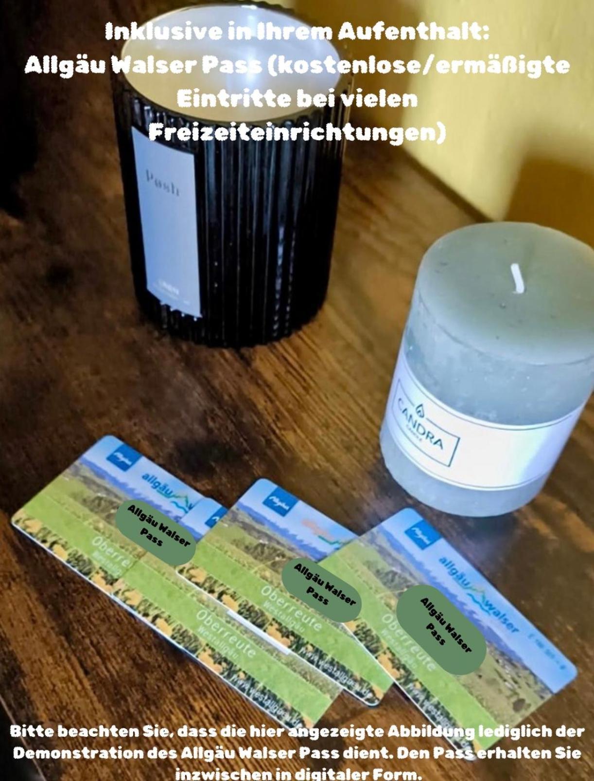 Lindners Hideaways - Bergnest Lodge - Bergblick Fewo 6 Pers Balkon Garten Hund Ski Unterkunft Luftkurort Oberreute Naehe Buchenegger Wasserfaelle Eistobel Bodensee Экстерьер фото